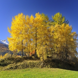 Paisagem