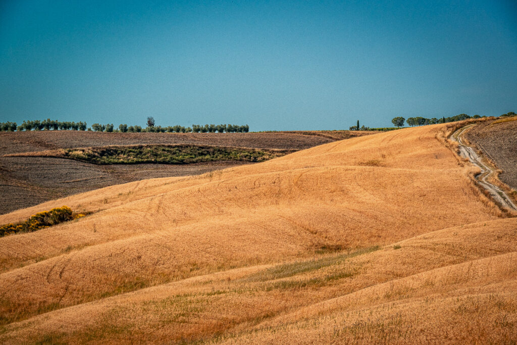 Europa, Itália, Toscana, europa, familia, ferias, italia