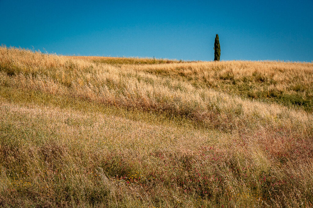 Europa, Itália, Toscana, europa, familia, ferias, italia