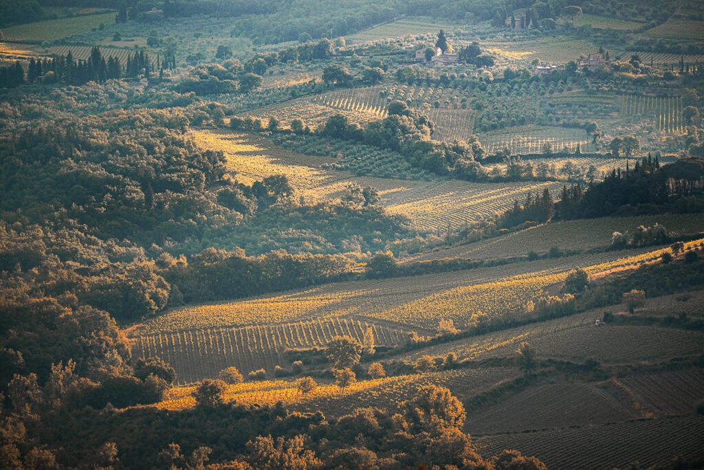Europa, Itália, Toscana, europa, familia, ferias, italia