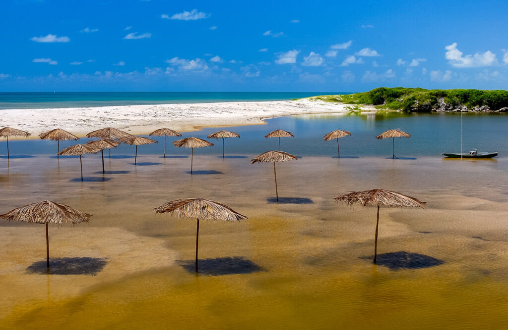 Holiday, Joao pessoa, João Pessoa, brazil, brazil beach, brazilian, brazilian northeast, coast, coastline, conde, destination, drive, kiosk, landscape, nature, nobody, northeast region, outdoor, paradise, paraiba, paraíba, rest, river, sand, scenic, sea, seashore, site, straw, straw kiosk, straws, summer, sun beach, sunny, sunny day, sunny sky, tourism, tourism travel, tourist, travel, tropical, tropical beach, umbrella sun, umbrellas, vacation, vacations, water