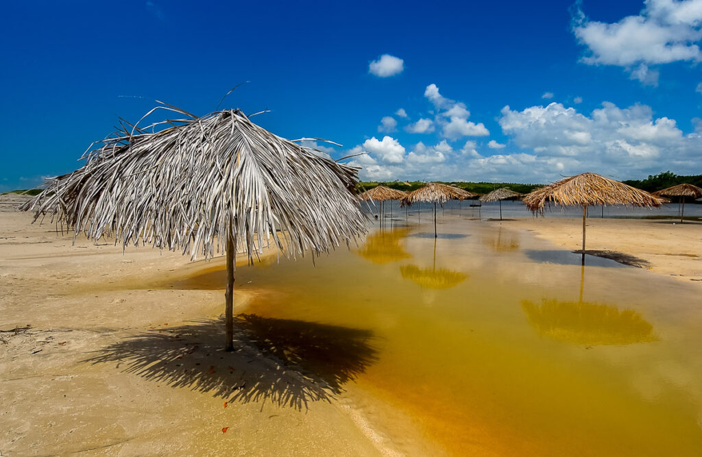 Holiday, Joao pessoa, João Pessoa, brazil, brazil beach, brazilian, brazilian northeast, coast, coastline, conde, destination, drive, kiosk, landscape, nature, nobody, northeast region, outdoor, paradise, paraiba, paraíba, rest, river, sand, scenic, sea, seashore, site, straw, straw kiosk, straws, summer, sun beach, sunny, sunny day, sunny sky, tourism, tourism travel, tourist, travel, tropical, tropical beach, umbrella sun, umbrellas, vacation, vacations, water
