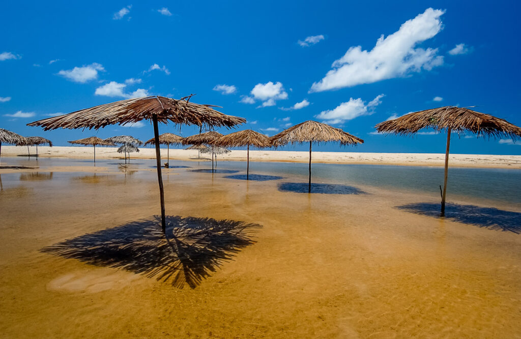 Holiday, Joao pessoa, João Pessoa, brazil, brazil beach, brazilian, brazilian northeast, coast, coastline, conde, destination, drive, kiosk, landscape, nature, nobody, northeast region, outdoor, paradise, paraiba, paraíba, rest, river, sand, scenic, sea, seashore, site, straw, straw kiosk, straws, summer, sun beach, sunny, sunny day, sunny sky, tourism, tourism travel, tourist, travel, tropical, tropical beach, umbrella sun, umbrellas, vacation, vacations, water