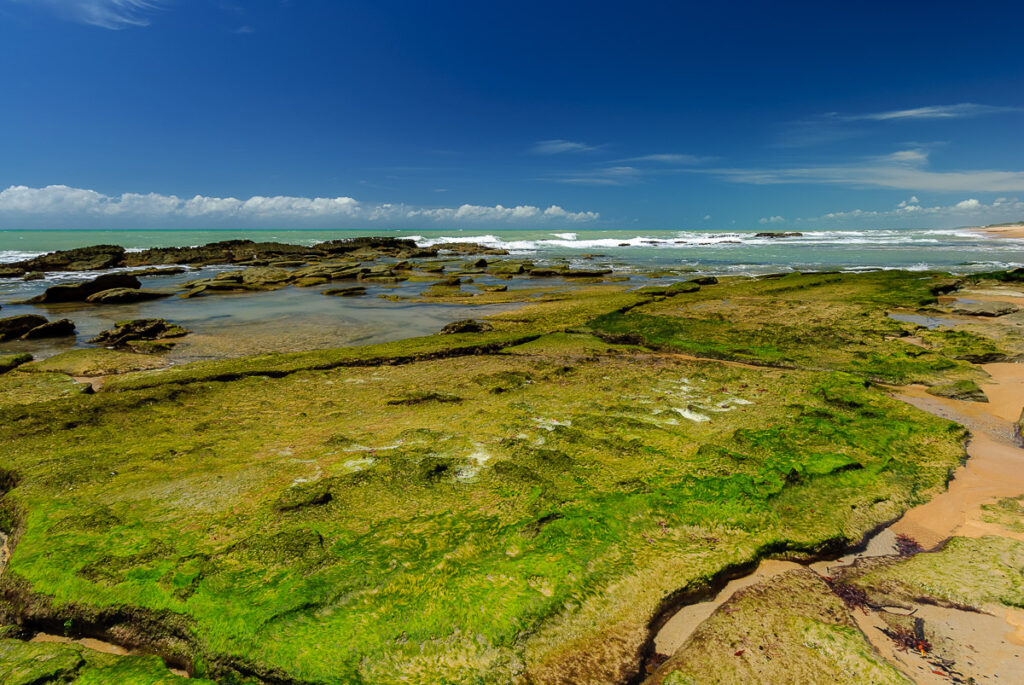 barra de camaratuba, camaratuba river, mataraca