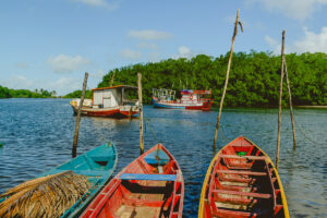 baia da traição, barcos, canoas, livro litoral, mangue, paraiba