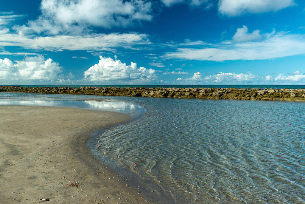Litoral norte, ambiente, baia da traição, litoral, paraiba