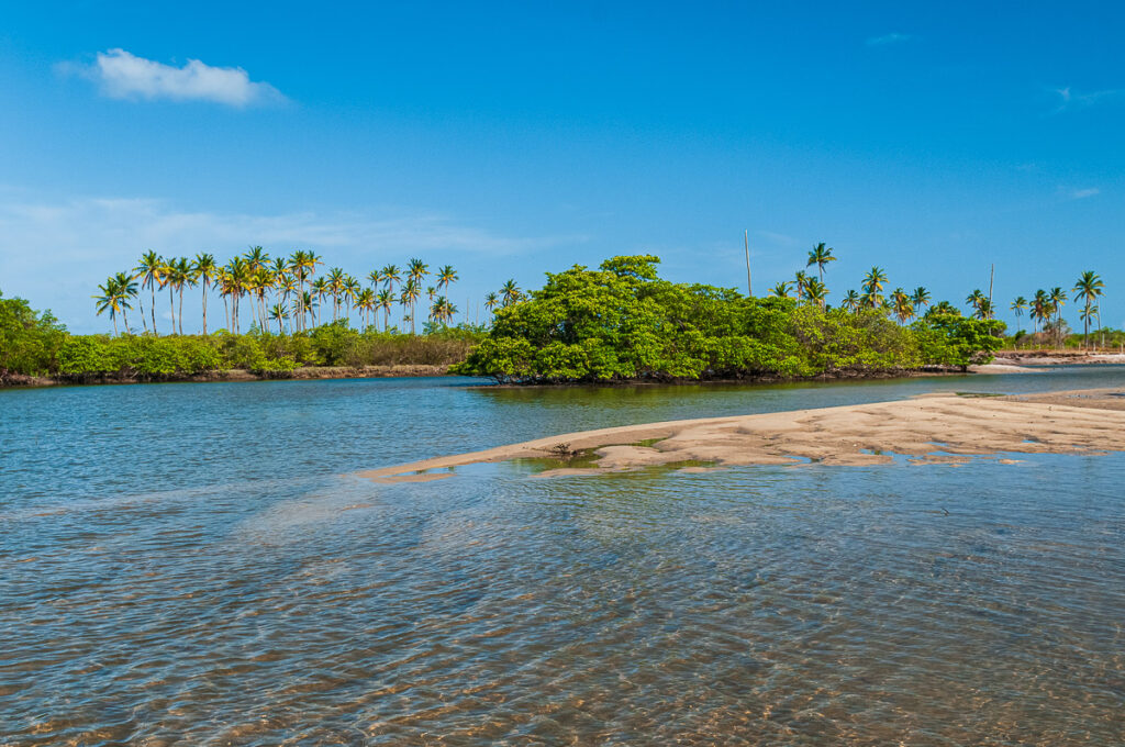 Litoral norte, ambiente, litoral, mamaguape, mangue, paraiba, peixe-boi, rio