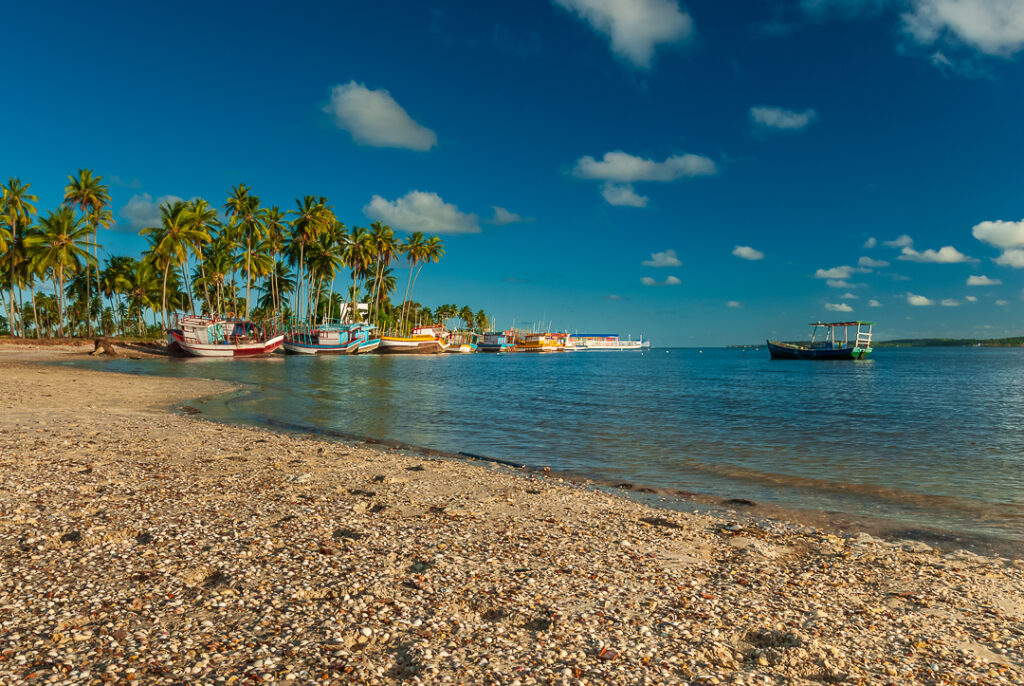 drive, livro litoral, site