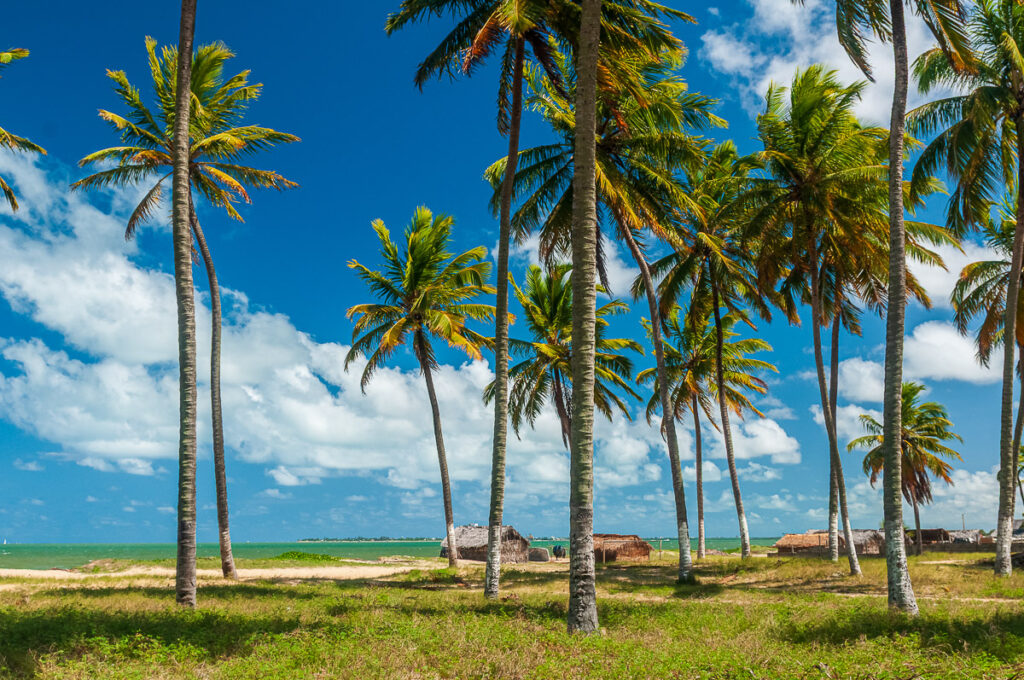 Mato Grosso State, Paraiba, lucena, praia