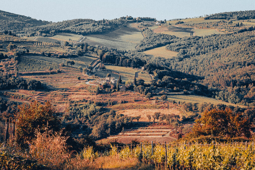 Europa, Itália, Toscana, Tuscany, Tuscany landscapes, arte exclusiva, arte fotográfica, arte para parede, artistic photography, authorial photography, black and white photography, colorful photography, contemporary photography, decorative frames, decoração com fotos, decoração sofisticada, exclusive art, fine art photography, fine art print, fotografia artística, fotografia autoral, fotografia colorida, fotografia contemporânea, fotografia de natureza, fotografia de paisagem, fotografia em preto e branco, fotografia fine art, fotografia minimalista, fotografia para escritórios, fotografia para hotéis, fotografia para restaurantes, fotografia premium, fotos para decoração, impressão fine art, italia, landscape photography, minimalist photography, nature photography, photo decoration, photographic art, photography for hotels, photography for offices, photography for restaurants, photos for decoration, premium photography, quadros decorativos, sophisticated decor, wall art