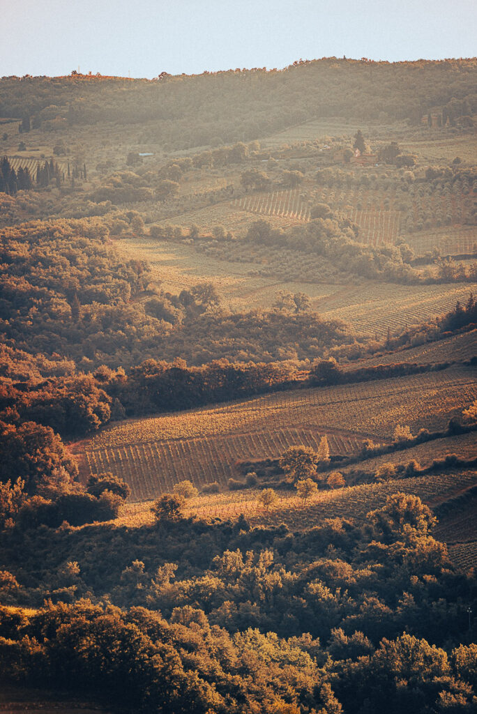 Europa, Itália, Toscana, Tuscany, Tuscany landscapes, arte exclusiva, arte fotográfica, arte para parede, artistic photography, authorial photography, black and white photography, colorful photography, contemporary photography, decorative frames, decoração com fotos, decoração sofisticada, exclusive art, fine art photography, fine art print, fotografia artística, fotografia autoral, fotografia colorida, fotografia contemporânea, fotografia de natureza, fotografia de paisagem, fotografia em preto e branco, fotografia fine art, fotografia minimalista, fotografia para escritórios, fotografia para hotéis, fotografia para restaurantes, fotografia premium, fotos para decoração, impressão fine art, italia, landscape photography, minimalist photography, nature photography, photo decoration, photographic art, photography for hotels, photography for offices, photography for restaurants, photos for decoration, premium photography, quadros decorativos, sophisticated decor, wall art