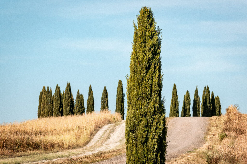 Europa, Itália, Toscana, Tuscany, Tuscany landscapes, arte exclusiva, arte fotográfica, arte para parede, artistic photography, authorial photography, black and white photography, colorful photography, contemporary photography, decorative frames, decoração com fotos, decoração sofisticada, exclusive art, fine art photography, fine art print, fotografia artística, fotografia autoral, fotografia colorida, fotografia contemporânea, fotografia de natureza, fotografia de paisagem, fotografia em preto e branco, fotografia fine art, fotografia minimalista, fotografia para escritórios, fotografia para hotéis, fotografia para restaurantes, fotografia premium, fotos para decoração, impressão fine art, italia, landscape photography, minimalist photography, nature photography, photo decoration, photographic art, photography for hotels, photography for offices, photography for restaurants, photos for decoration, premium photography, quadros decorativos, sophisticated decor, wall art