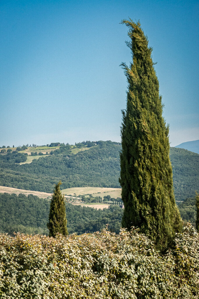 Europa, Itália, Toscana, Tuscany, Tuscany landscapes, arte exclusiva, arte fotográfica, arte para parede, artistic photography, authorial photography, black and white photography, colorful photography, contemporary photography, decorative frames, decoração com fotos, decoração sofisticada, exclusive art, fine art photography, fine art print, fotografia artística, fotografia autoral, fotografia colorida, fotografia contemporânea, fotografia de natureza, fotografia de paisagem, fotografia em preto e branco, fotografia fine art, fotografia minimalista, fotografia para escritórios, fotografia para hotéis, fotografia para restaurantes, fotografia premium, fotos para decoração, impressão fine art, italia, landscape photography, minimalist photography, nature photography, photo decoration, photographic art, photography for hotels, photography for offices, photography for restaurants, photos for decoration, premium photography, quadros decorativos, sophisticated decor, wall art
