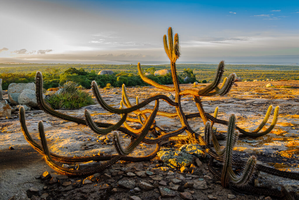 Cabaceiras, Joao pessoa, João Pessoa, Lajedo de Pai Mateus, Mato Grosso State, Paraiba, arte, brasil, caatinga, cabaceiras, cabaceiras paraiba, cariri, decorativa, decoração, fine art, fine art photography, fineart, fineart print, foto ambientes, foto decorativa, foto decoração, fotofrafia artistica, fotografia, fotografia ambientes, fotografia arquitetônica, fotografia artística, fotografia da paraiba, igreja, igreja de sao francisco, lajedo, paraiba, paraíba, print, prints, saca de Lã, sacas de lã