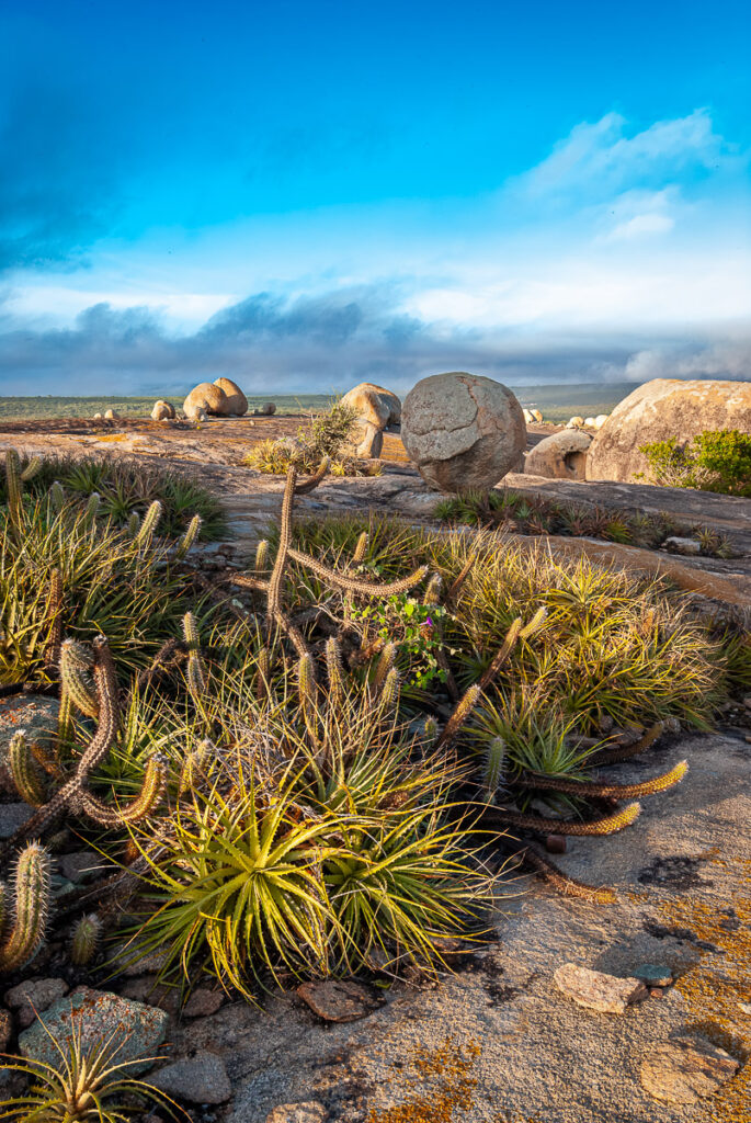 Cabaceiras, Lajedo de Pai Mateus, Mato Grosso State, Paraiba, alunos, cabaceiras, curso, lajedo, lajedo pai mateus, landscape photography, morning, paraiba, rural photography, turma