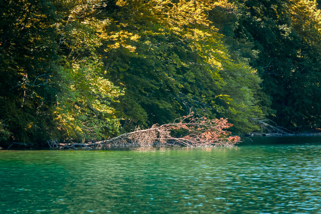 croacia, decor, europa, familia, ferias, lakes, plitvice