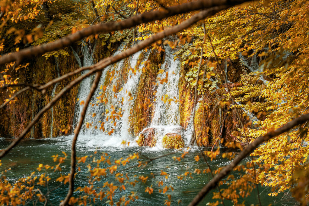 croacia, decor, europa, familia, ferias, lakes, natureza, plitvice, verde