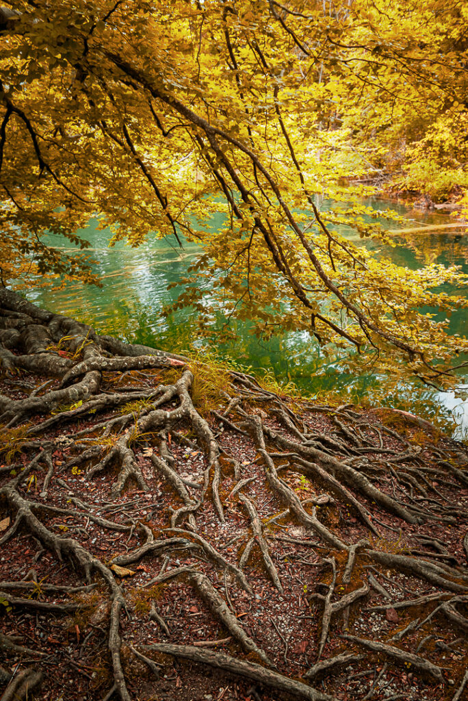 croacia, decor, europa, familia, ferias, lakes, natureza, plitvice, verde