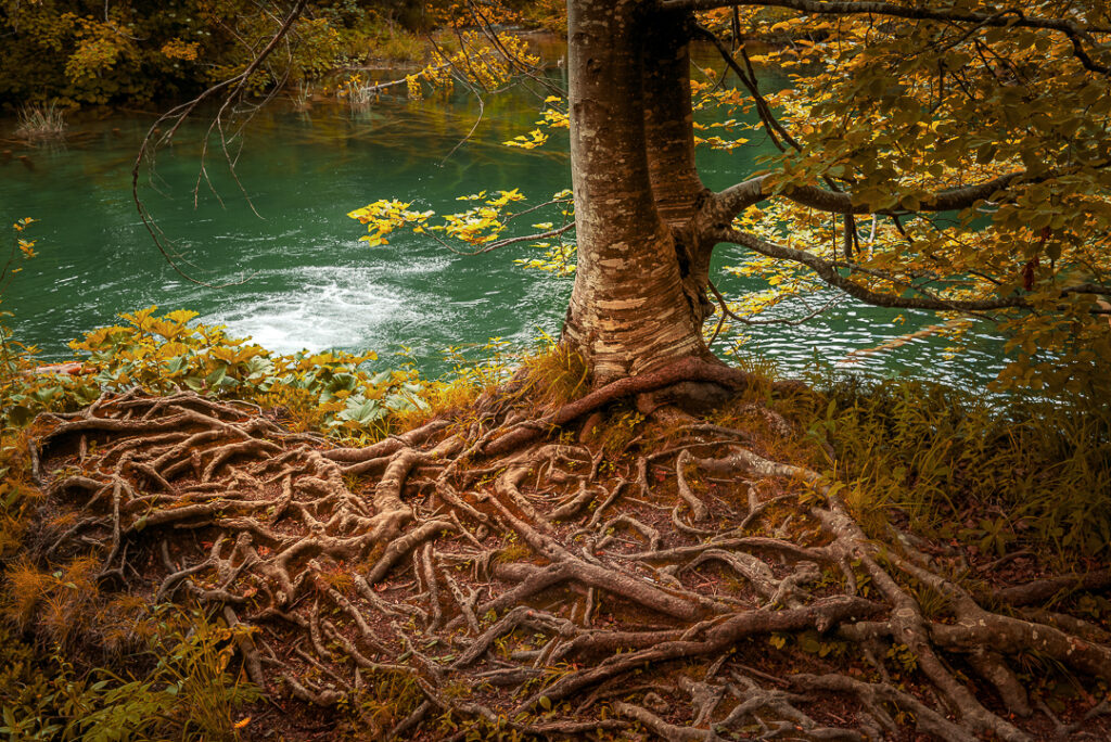 croacia, decor, europa, familia, ferias, lakes, natureza, plitvice, verde