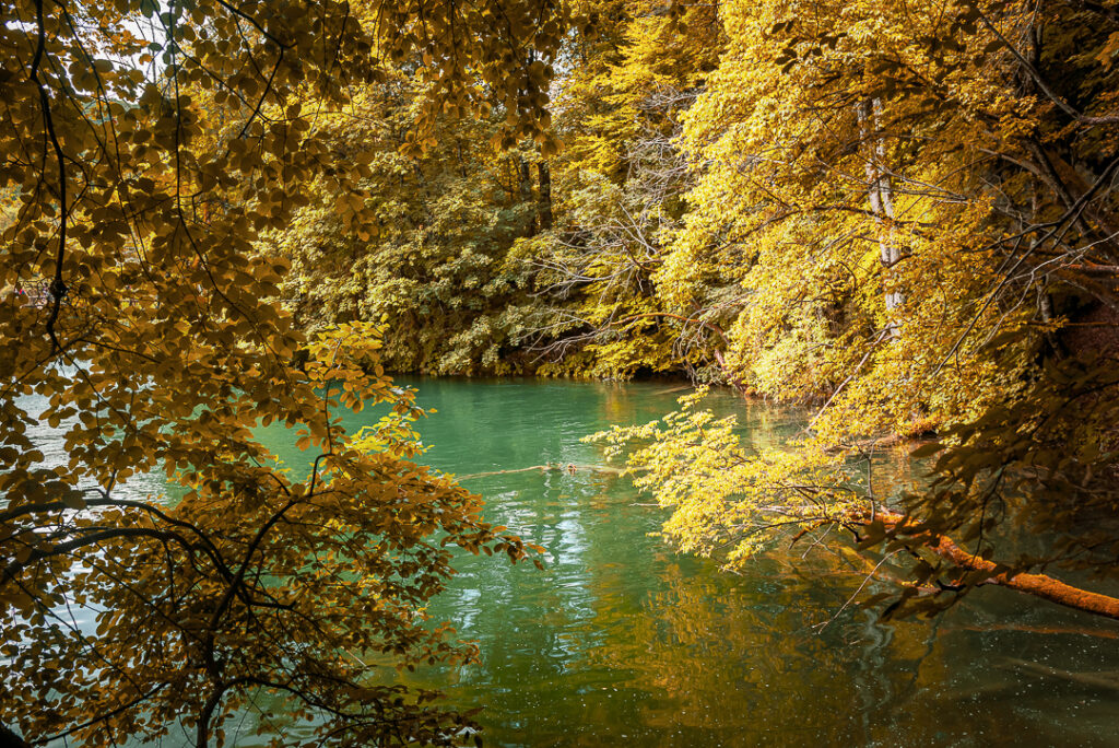 croacia, decor, europa, familia, ferias, lakes, natureza, plitvice, verde