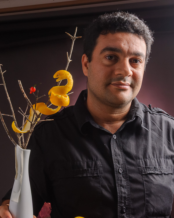 bicho planta, cobra, cobra laranja, fauna vegetal