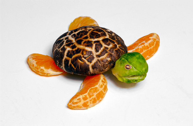 Cacio Murilo, art for clinicsarte para escolas, art gallery foodanimais comestíveis, arte com alimentos, artistic photographygaleria de arte com comida, artistic vegetables, child creativityfrutas com personalidade, classroom visualsobra de arte com comida, creative foodanimais de vegetais, creative photographyanimais de frutas, decorative artexpressão com frutas, edible animalsarte educativa, edible creaturesarte para consultórios, educational artbrincando com alimentos, fauna vegetal, fine art foodfrutas divertidas, food and naturedesign com alimentos, food animalsnatureza e imaginação, food artfrutas criativas, food art for kidsalimentação divertida, food charactersescultura infantil, food designarte para decoração, food fantasyarte e educação, food sculpturearte para crianças, food surrealismarte fotográfica autoral, fruit animalspersonagens com comida, fruit artarte com vegetais, fruit charactersbichos comestíveis, fruit expressionsurrealismo alimentar, fun with fruitsarte surreal com comida, funny foodbichos de hortifruti, healthy food artarte com frutas, imaginative foodfotos para sala de aula, kids educationcomida saudável e criativa, kids nutritionalimentos e imaginação, kids sculptureeducação visual, playful foodcriatividade infantil, playful photographyalimentação infantil, school artarte com hortaliças, surreal foodnatureza imaginária, vegetable animalsescultura com comida, vegetable artfotografia criativa, visual educationfotografia lúdica