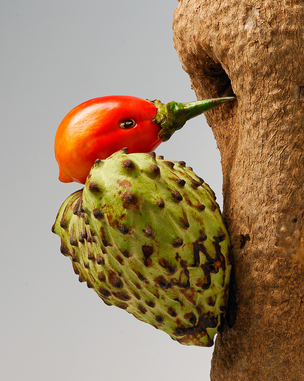 Cacio Murilo, art for clinicsarte para escolas, art gallery foodanimais comestíveis, arte com alimentos, artistic photographygaleria de arte com comida, artistic vegetables, child creativityfrutas com personalidade, classroom visualsobra de arte com comida, creative foodanimais de vegetais, creative photographyanimais de frutas, decorative artexpressão com frutas, edible animalsarte educativa, edible creaturesarte para consultórios, educational artbrincando com alimentos, fauna vegetal, fine art foodfrutas divertidas, food and naturedesign com alimentos, food animalsnatureza e imaginação, food artfrutas criativas, food art for kidsalimentação divertida, food charactersescultura infantil, food designarte para decoração, food fantasyarte e educação, food sculpturearte para crianças, food surrealismarte fotográfica autoral, fruit animalspersonagens com comida, fruit artarte com vegetais, fruit charactersbichos comestíveis, fruit expressionsurrealismo alimentar, fun with fruitsarte surreal com comida, funny foodbichos de hortifruti, healthy food artarte com frutas, imaginative foodfotos para sala de aula, kids educationcomida saudável e criativa, kids nutritionalimentos e imaginação, kids sculptureeducação visual, playful foodcriatividade infantil, playful photographyalimentação infantil, school artarte com hortaliças, surreal foodnatureza imaginária, vegetable animalsescultura com comida, vegetable artfotografia criativa, visual educationfotografia lúdica