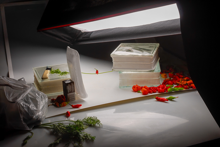 fauna vegetal, making off, processo criativo