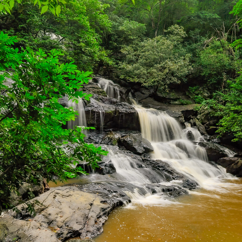 Cachoeira, paraiba, roncador