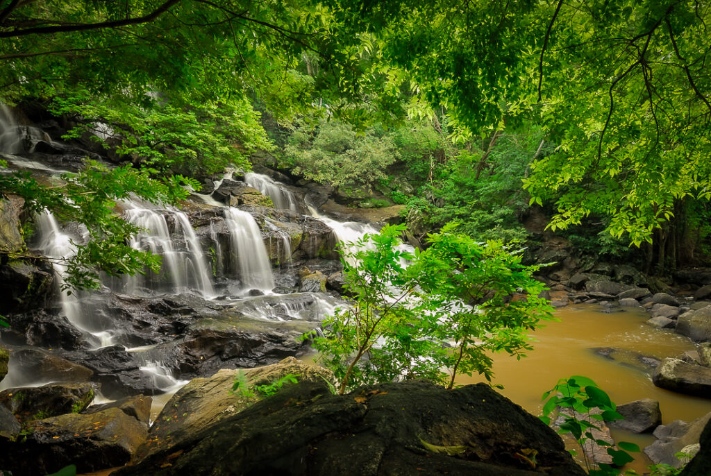 Cachoeira, paraiba, roncador