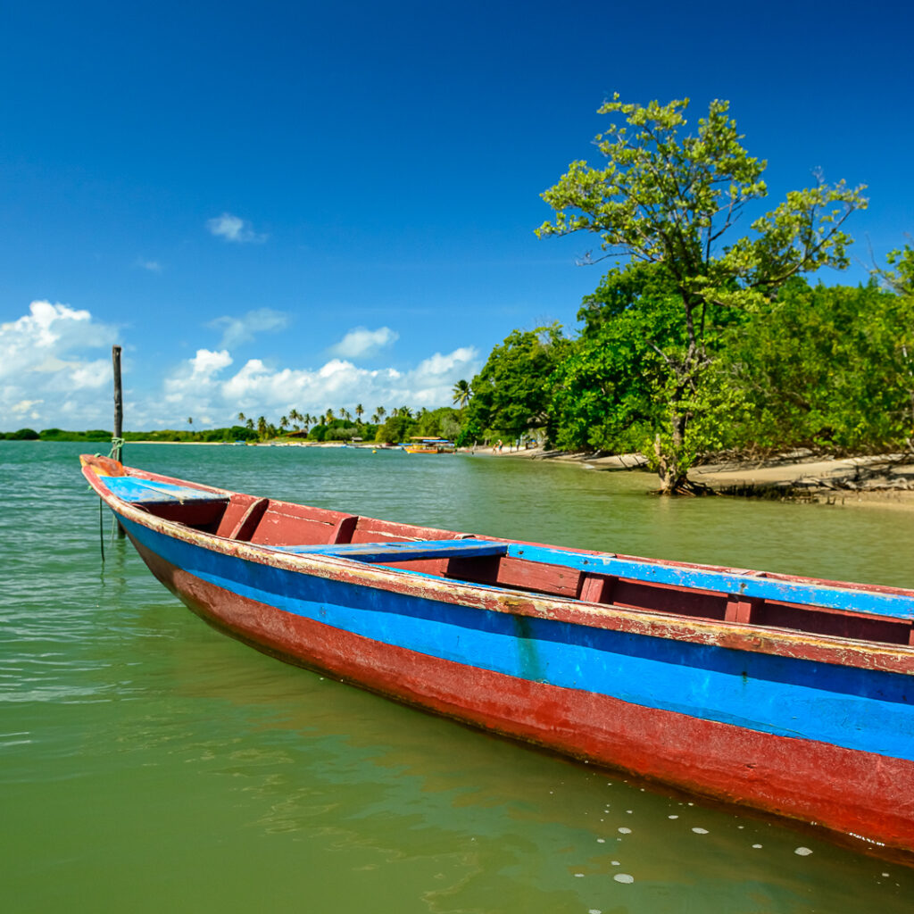 barra de mamanguape, mamaguape, peixe boi, rio, rio tinto