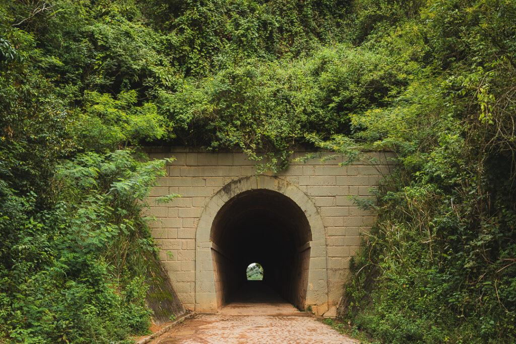 bananeiras, juca pontes, sao joao brazilian party