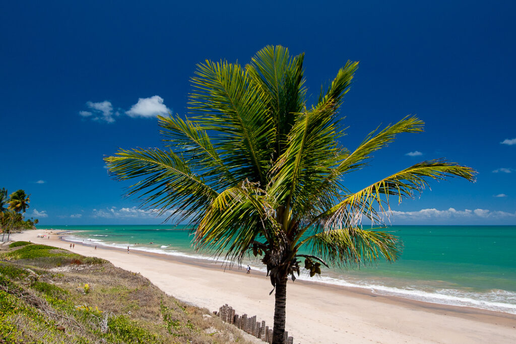 conde, litoral sul, paraiba, praia
