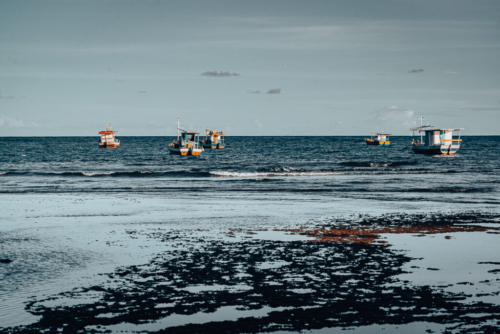 bahia, itacimirim, praia do forte