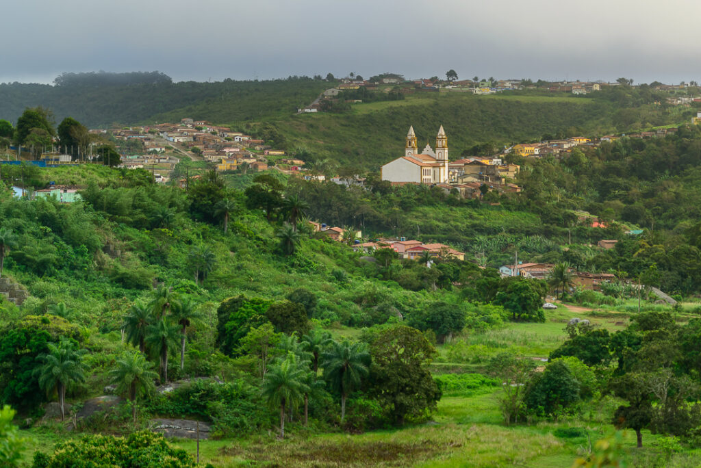 bananeiras, juca pontes, sao joao brazilian party