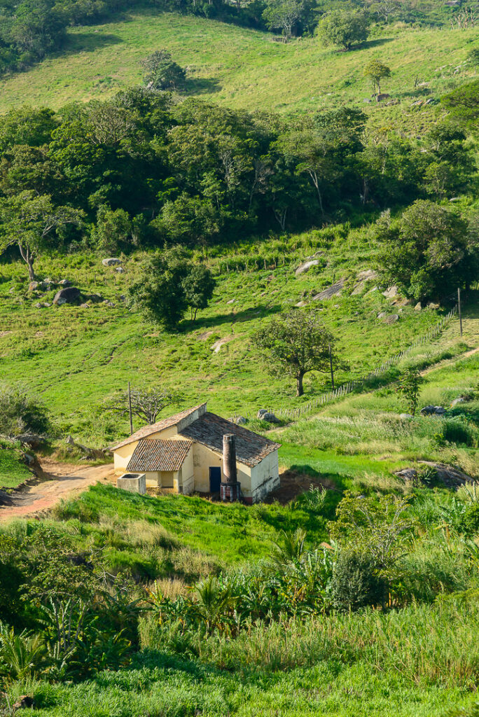 bananeiras, juca pontes, sao joao brazilian party