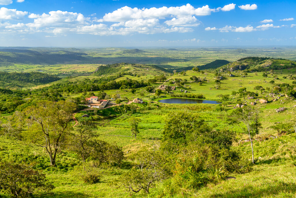 bananeiras, juca pontes, sao joao brazilian party