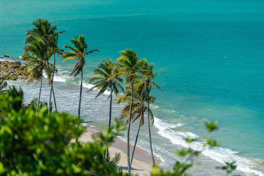 Mato Grosso State, Paraiba, conde, litoral sul, mirante voçoroca, praia de tabatinga