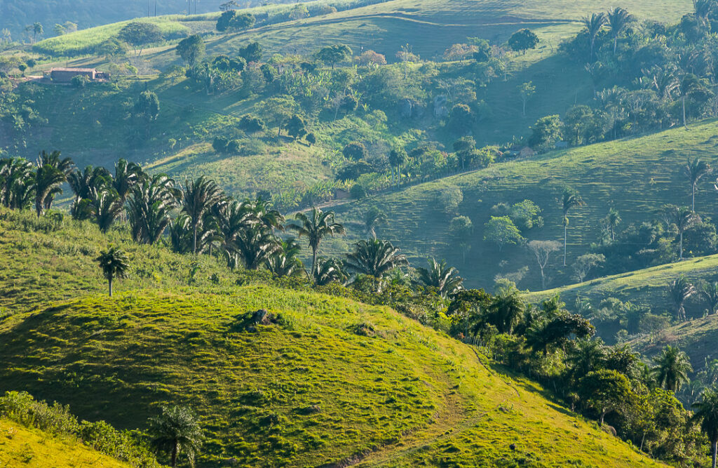 arco iris, arcoiris, areia, areia paraiba, arvores, brejo, floresta, mata, natureza, paisagem, paraiba, rainbow