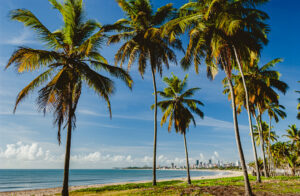 Joao pessoa, marnaira, paraiba, praia de manaira