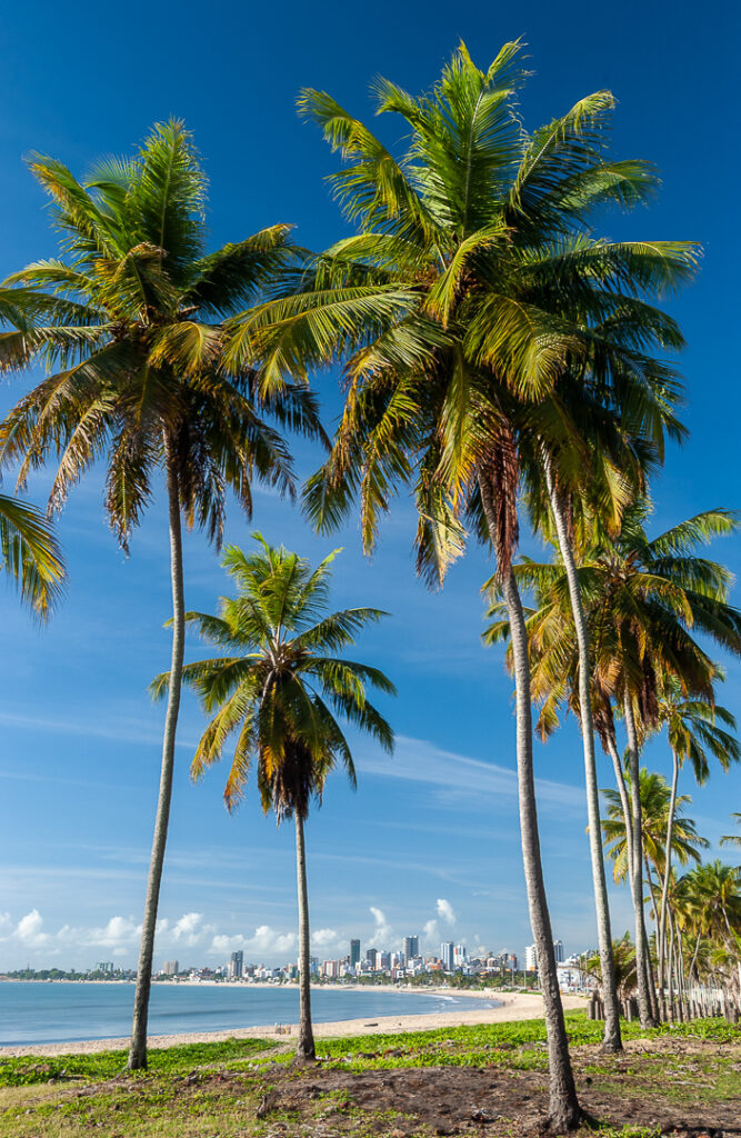 Joao pessoa, marnaira, paraiba, praia de manaira