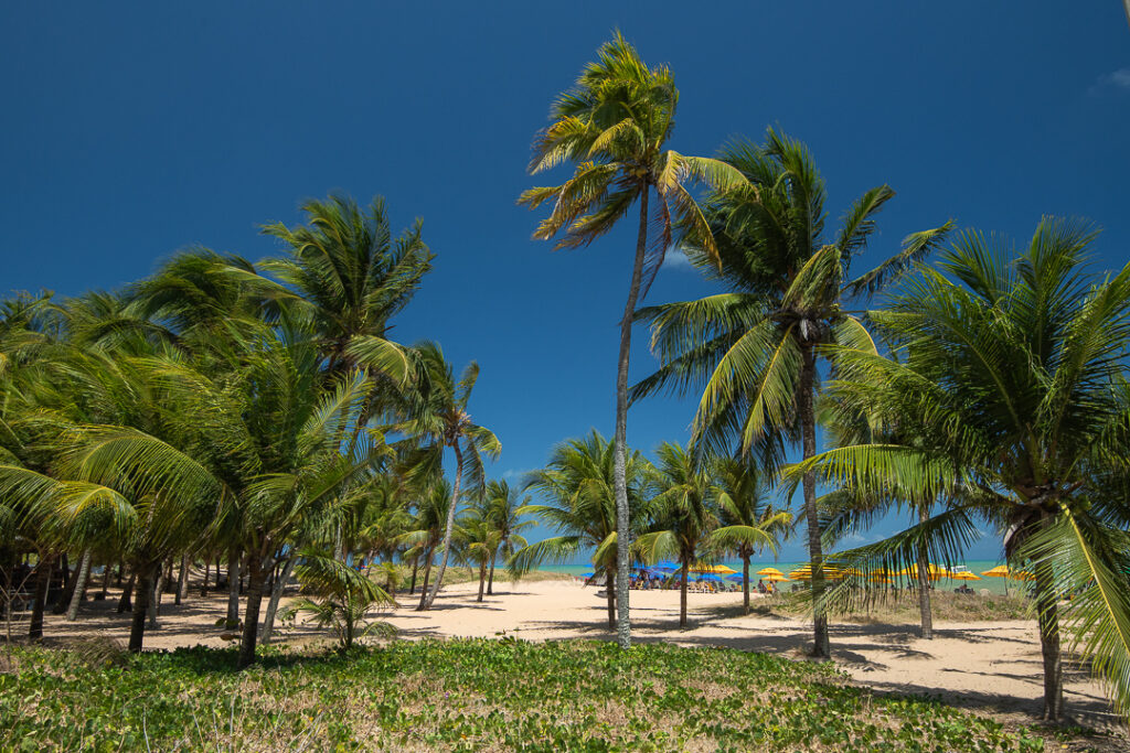 Joao Pessoa, Mato Grosso State, Paraiba, Paraiba State, barcos, praia de tambau