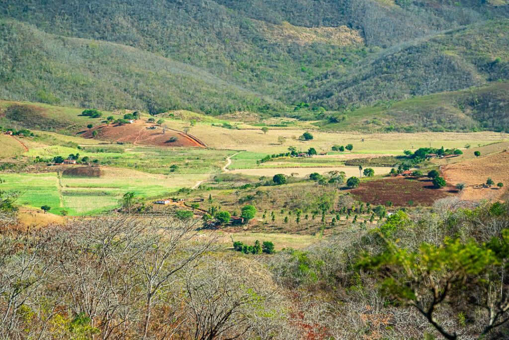 Agreste region, Biodiversity, Brazilian countryside, Environmental conservation, Paraíba countryside, agrarian landscape, agricultural fields, countryside panorama, countryside scenery, dirt roads, dry hills, ecological landscape, environmental preservation, farmland, green fields, interior of Paraíba, landscape photography, mountain landscape, natural landscape, northeastern Brazil, off road trails, panoramic landscape, regional culture, remote region, rolling hills, rural Brazil, rural community, rural ecology, rural farms, rural houses, rural valley, rustic environment, scenic countryside, semi arid region, sustainable agriculture, sustainable land use, traditional farming, tropical dry region, tropical vegetation, valley panorama