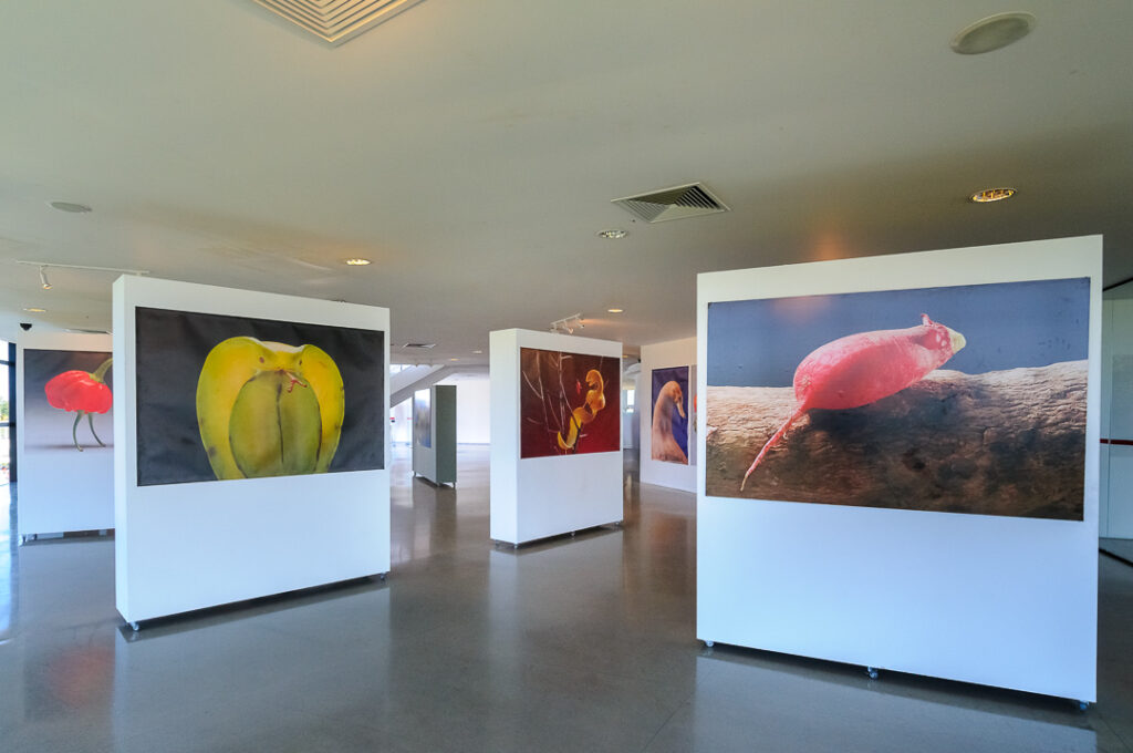 Joao pessoa, estacao ciencias, museu, paraiba