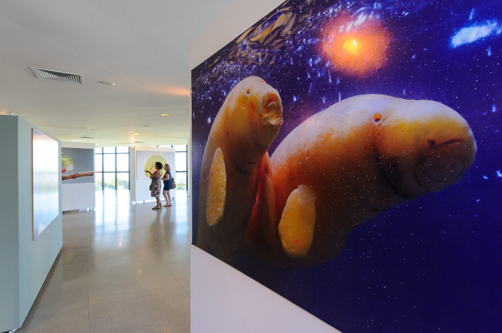 Joao pessoa, estacao ciencias, museu, paraiba