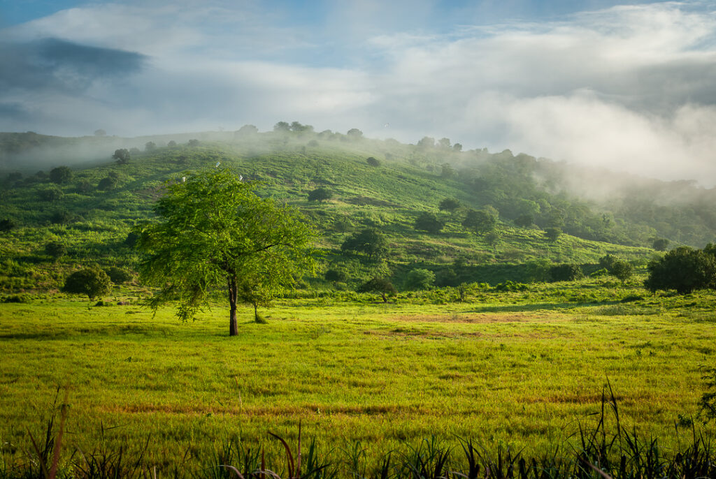 inverno, paisagem