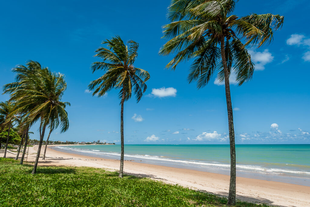 Joao pessoa, coqueiro, manaira beach, praia
